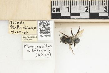 Media type: image;   Entomology 793092 Aspect: Labels
